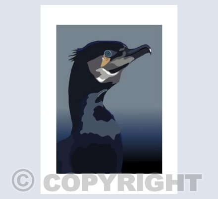 CORMORANT Portrait