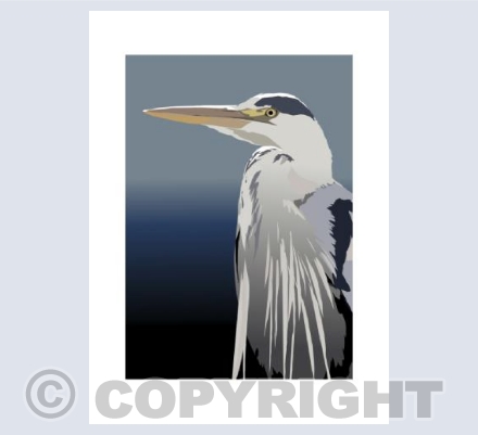 HERON Portrait