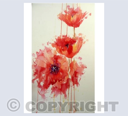 Poppy Love 