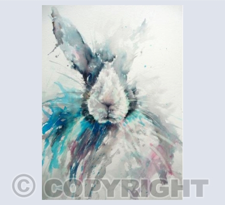 Bunny Love 