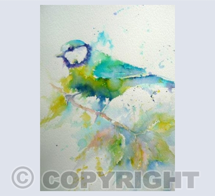 Blue Tit