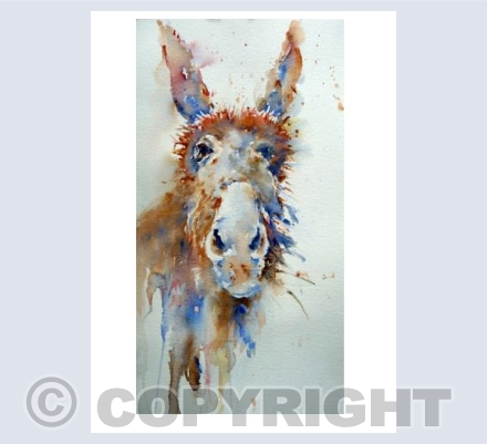 Donkey
