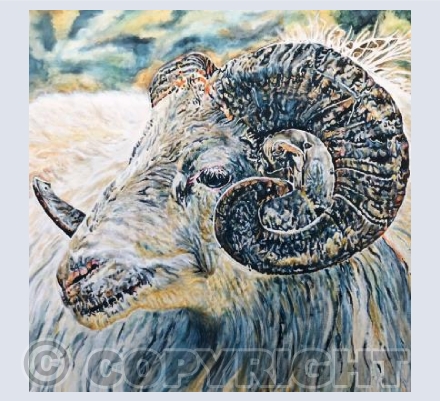 The Finest Ram 