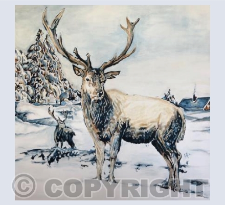 Winter Stag 