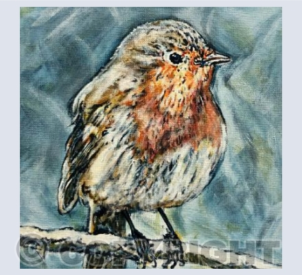 Plump Robin