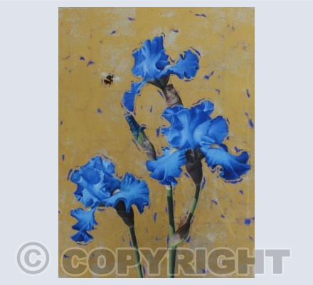 Blue Irises