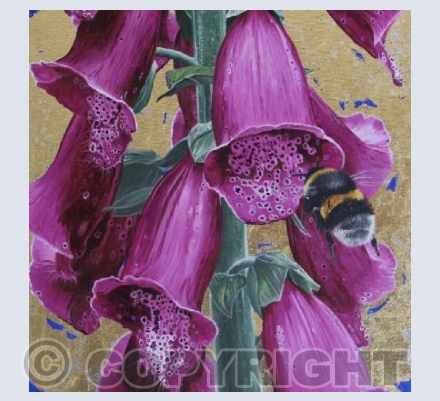 Foxglove & Bumblebee