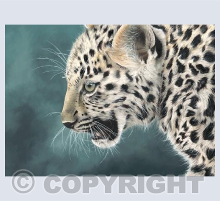 Amur Leopard cub