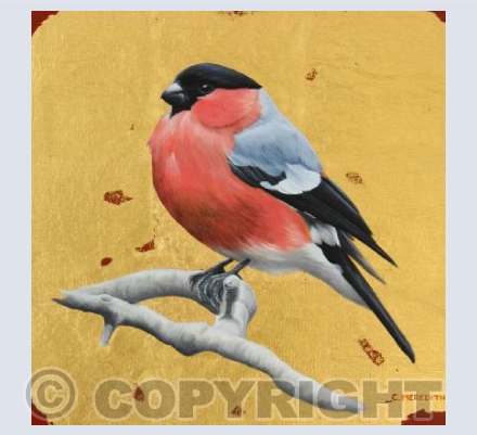 Bullfinch