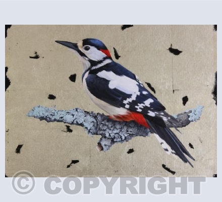 Great Spotted Woodpecker