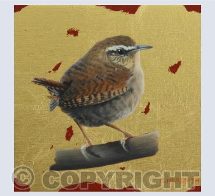 Wren