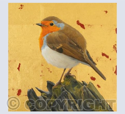 Robin square