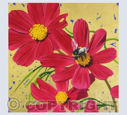 Cosmos Bumblebee