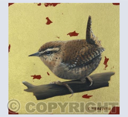 Jenny Wren