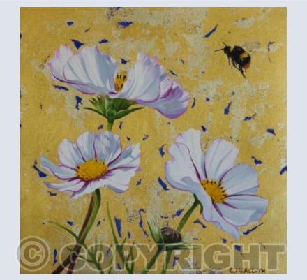 White Cosmos & Bumblebee
