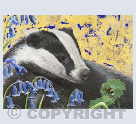 Badger & Bluebells