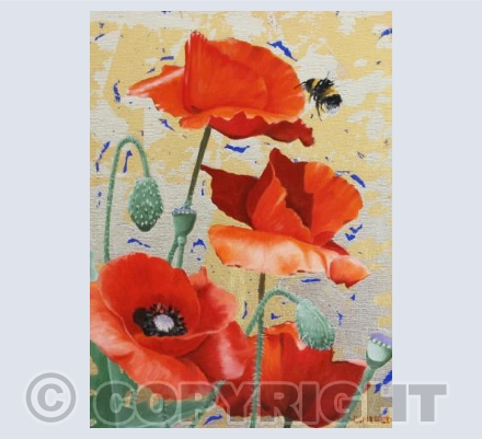 Poppys