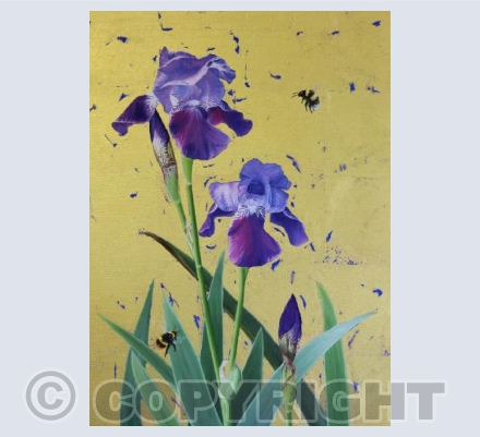 Bearded Iris & Bumblebees