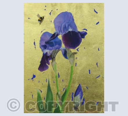 Purple Bearded Iris & Bumblebee