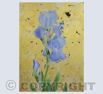 Blue Bearded Iris & Bumblebee