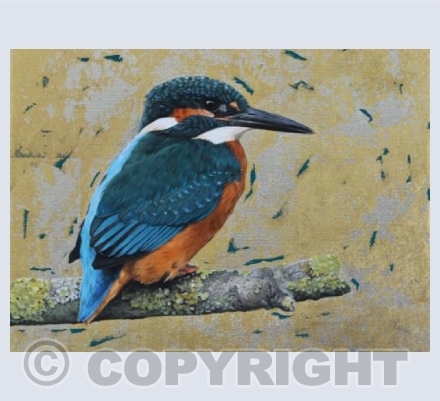 Kingfisher