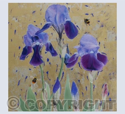 Iris's & Bumblebees