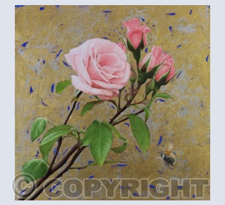 Pink Roses & Carder Bee