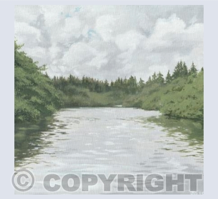 Llyn Hafod-y-llyn