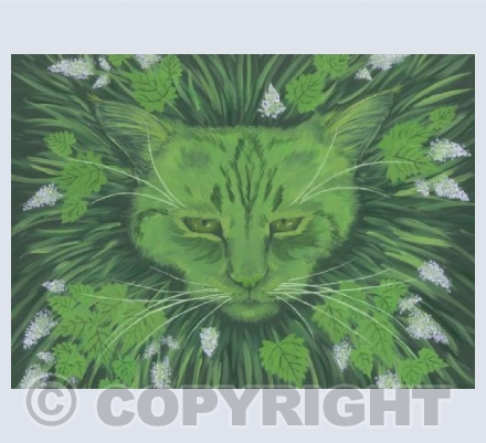 Cat Mint