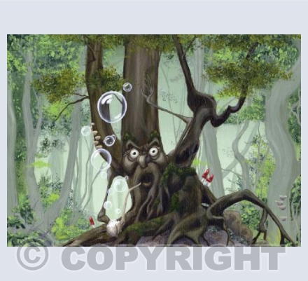 Forest Guide