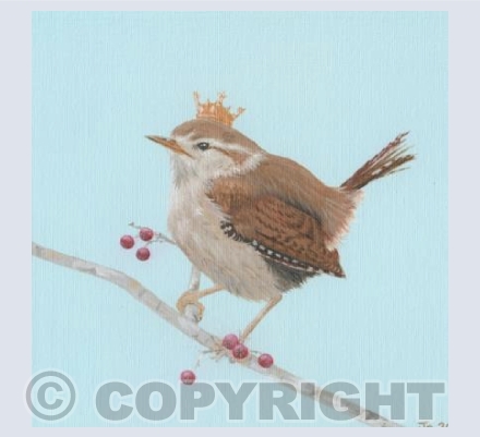 Wren: King of Birds