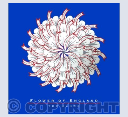 Flower of England - The Bands