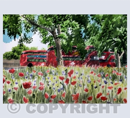 Routemasters Grazing in the Wildflower Meadow