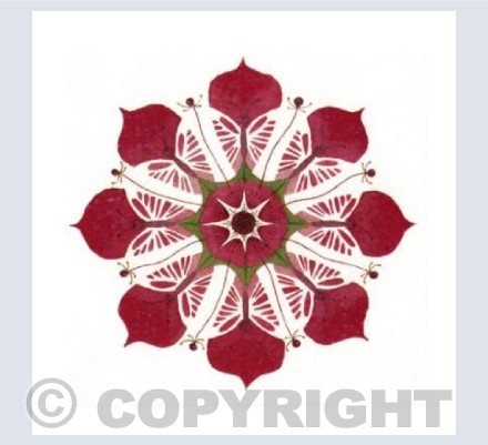 Butterflower