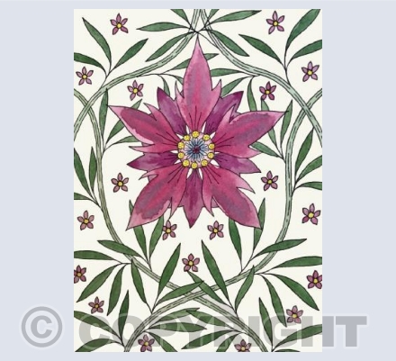 Starflower on White