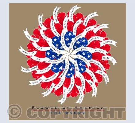 Flower of America - The Bands