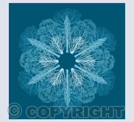 The Forest Flower (Winter)