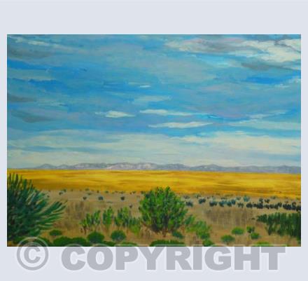 New Mexico Landscape