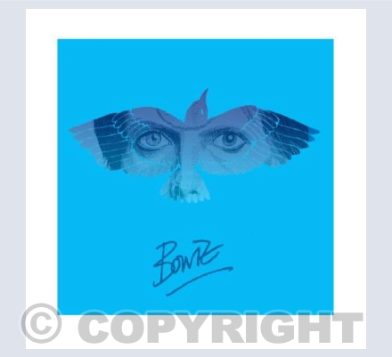 Bluebird