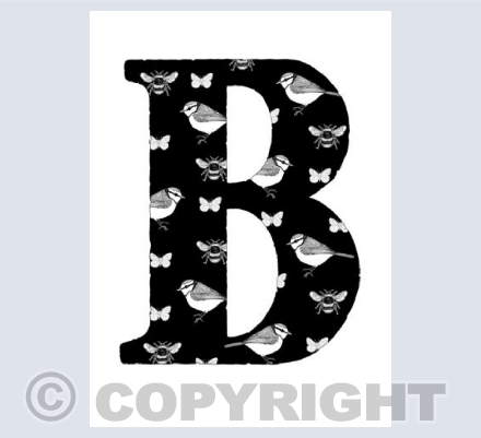 Capital B