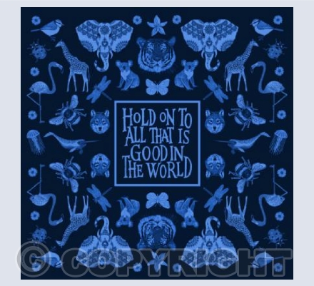Hold On (blue)