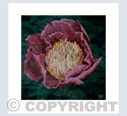 Peony