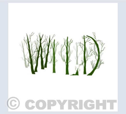 Wild Woods