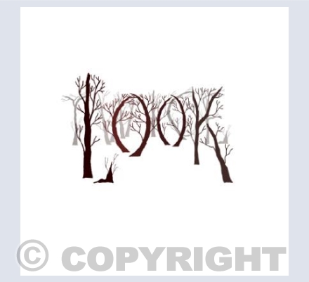 Look Twice
