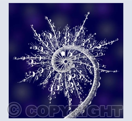 To Capture the Morning Dew (in Blue) 