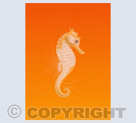 Orange Seahorse Swirl