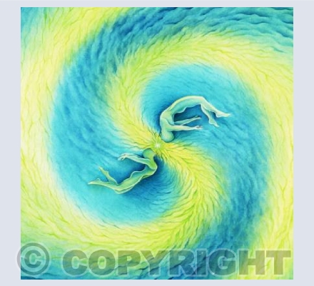 Whirlwind Romance