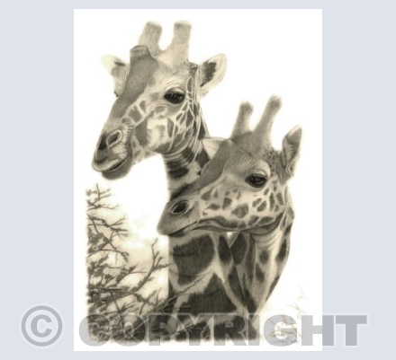 Necks To You