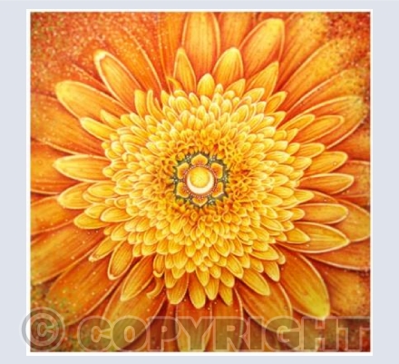 Sacral Chakra