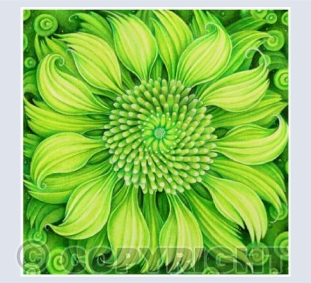 Heart Chakra